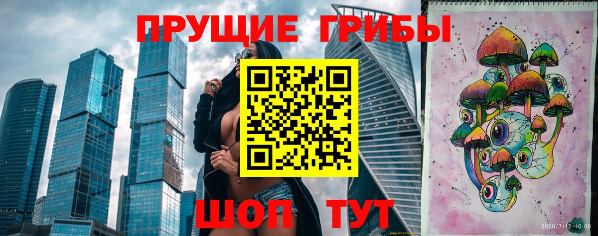 Псилоцибиновые грибы ЛСД Курчатов