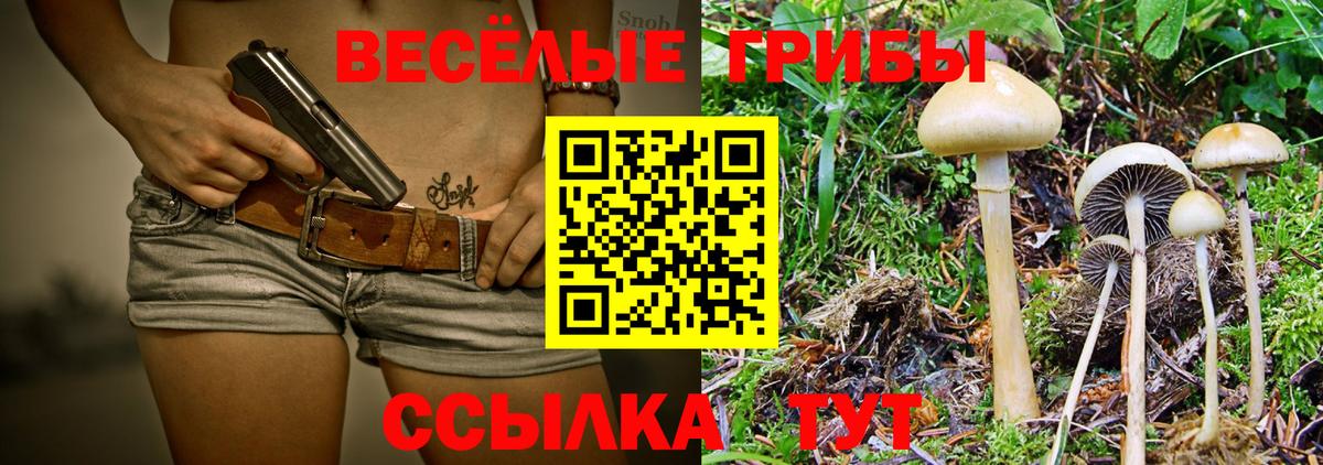 Псилоцибиновые грибы Magic Shrooms  Галлюциногенные грибы MAGIC MUSHROOMS  Вход с VPN  Курчатов 
