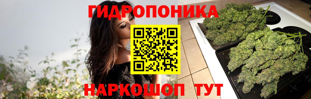Бошки марихуана VHQ  Каннабис марихуана  Курчатов  МАРИХУАНА семена  Каннабис семена  Вход с VPN 